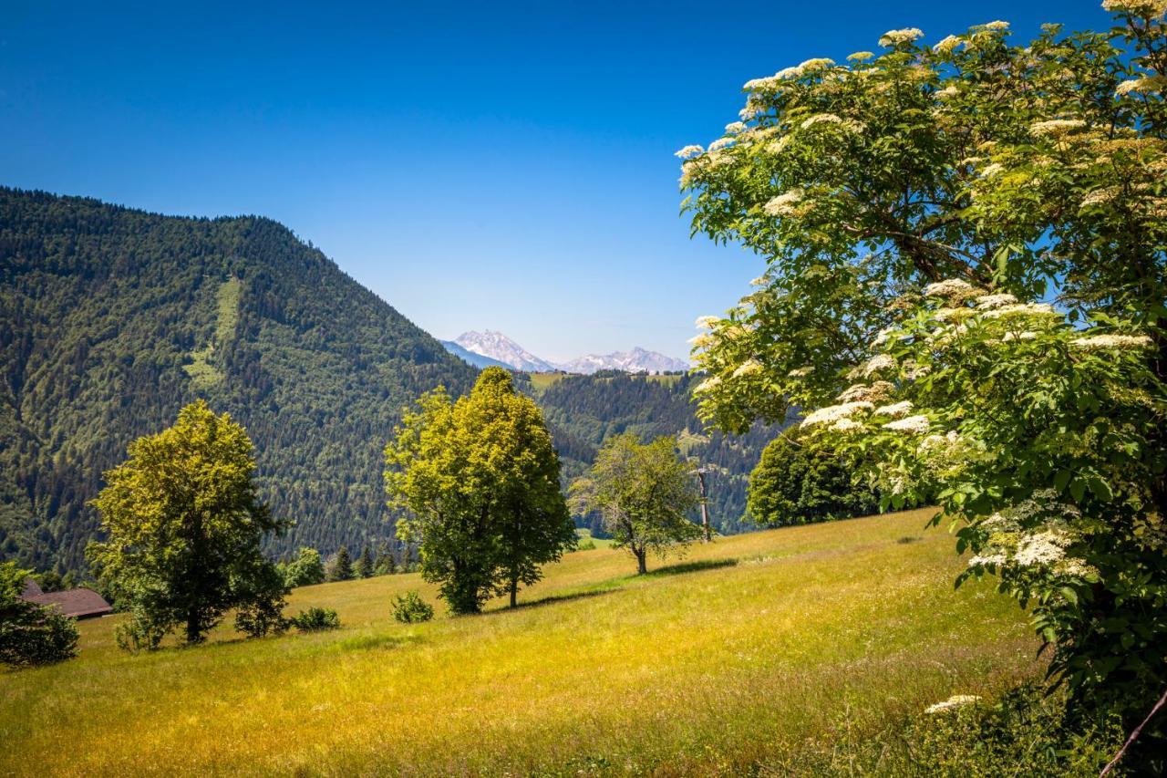 Appartement Reitlhof, Bio Berg Bauernhof Krispl Екстериор снимка
