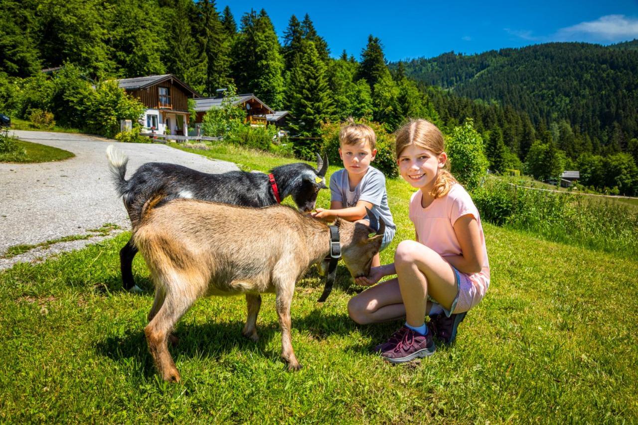 Appartement Reitlhof, Bio Berg Bauernhof Krispl Екстериор снимка